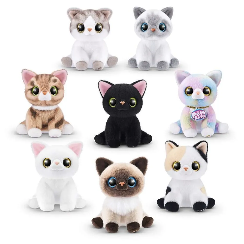 PETS ALIVE-SMITTEN KITTENS - Image 2