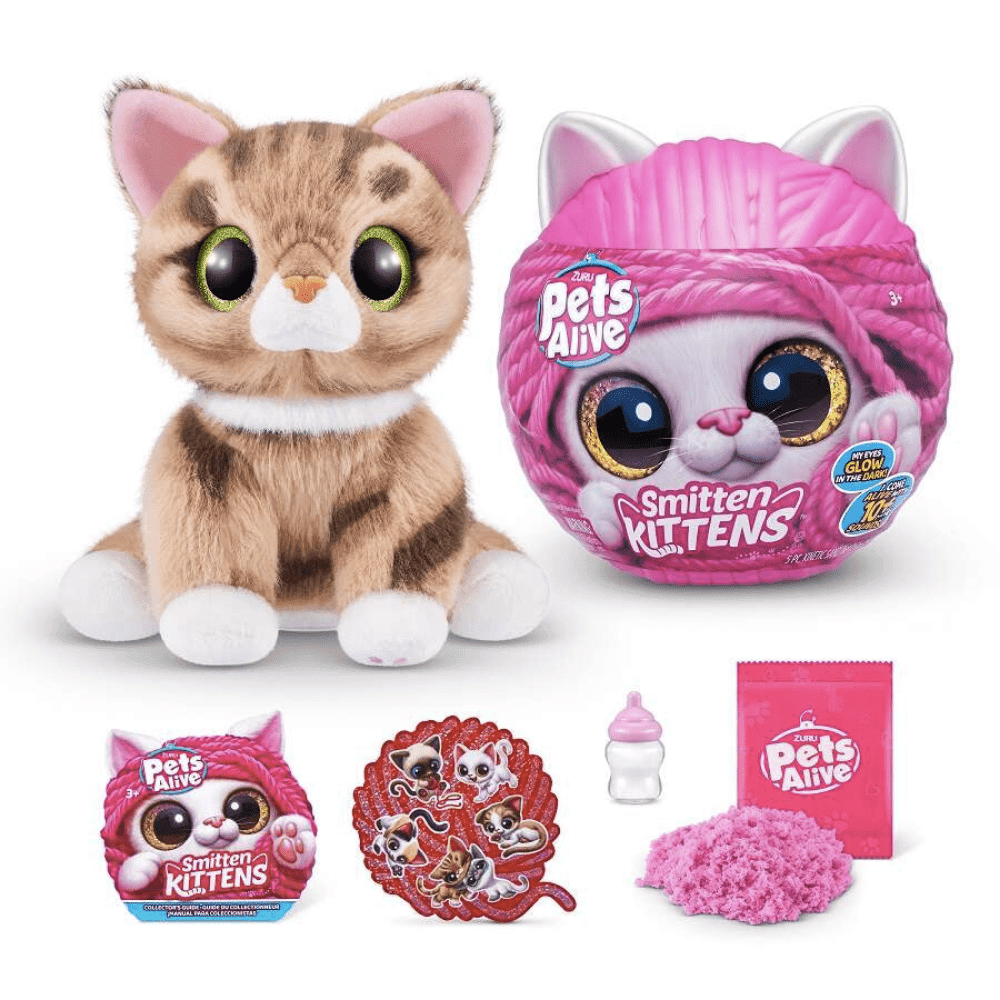 PETS ALIVE-SMITTEN KITTENS - Image 5
