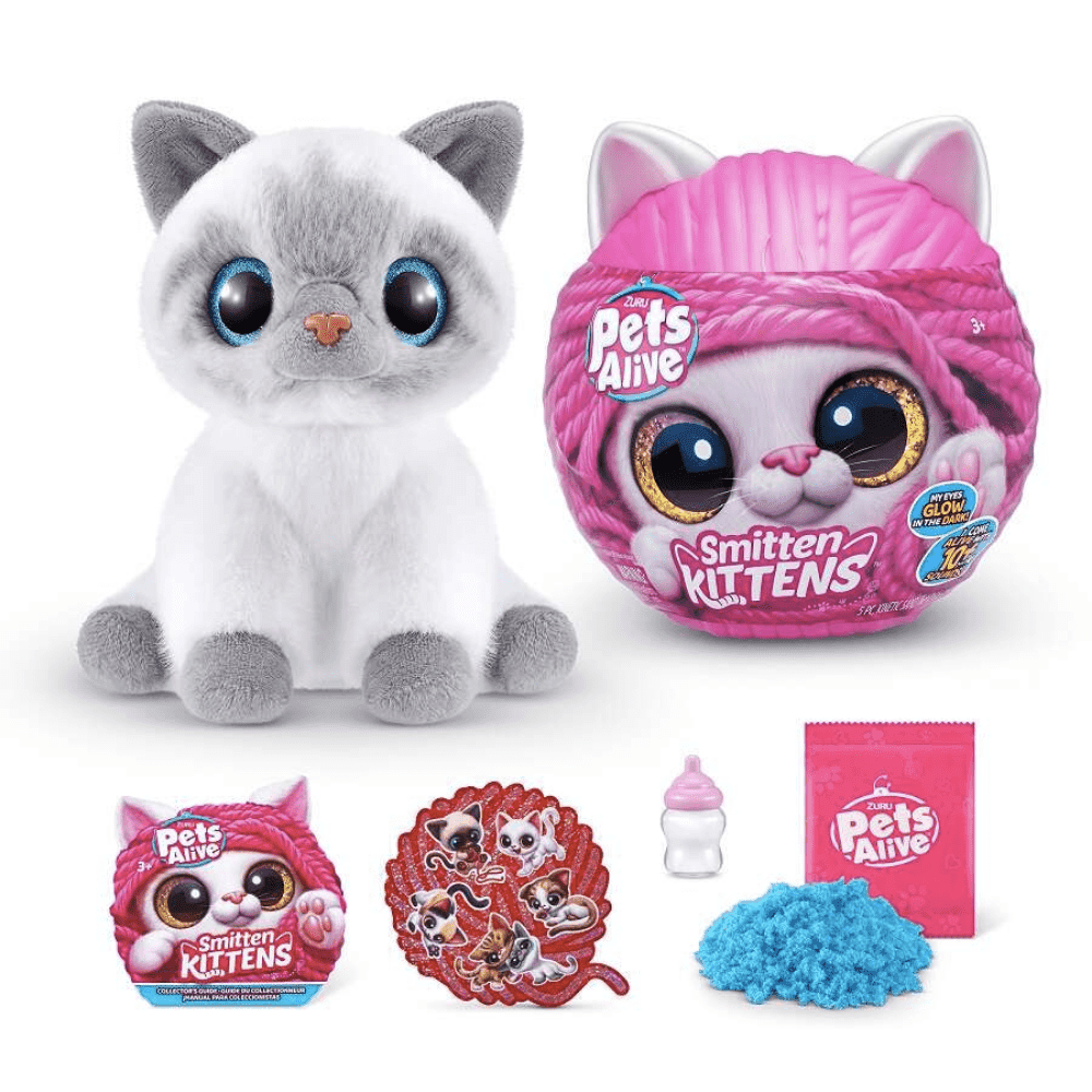 PETS ALIVE-SMITTEN KITTENS - Image 7
