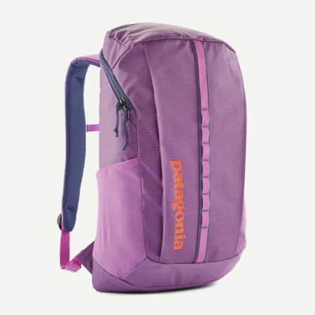 Patagonia Black Hole 25L Bakpoki Brisk Purple