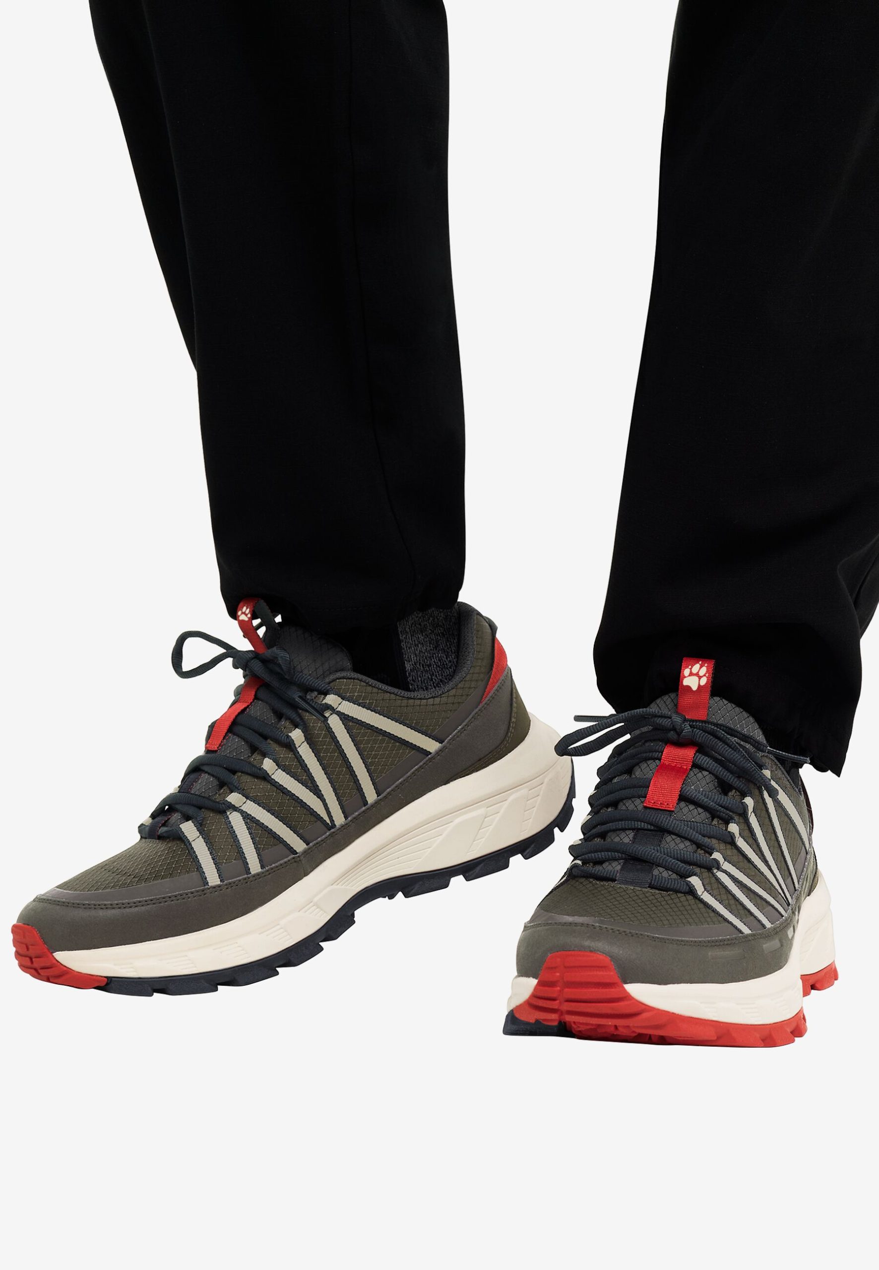 Jack Wolfskin Wild Hike Herra Gönguskór Texapore Low Obsidian Moss - Image 2