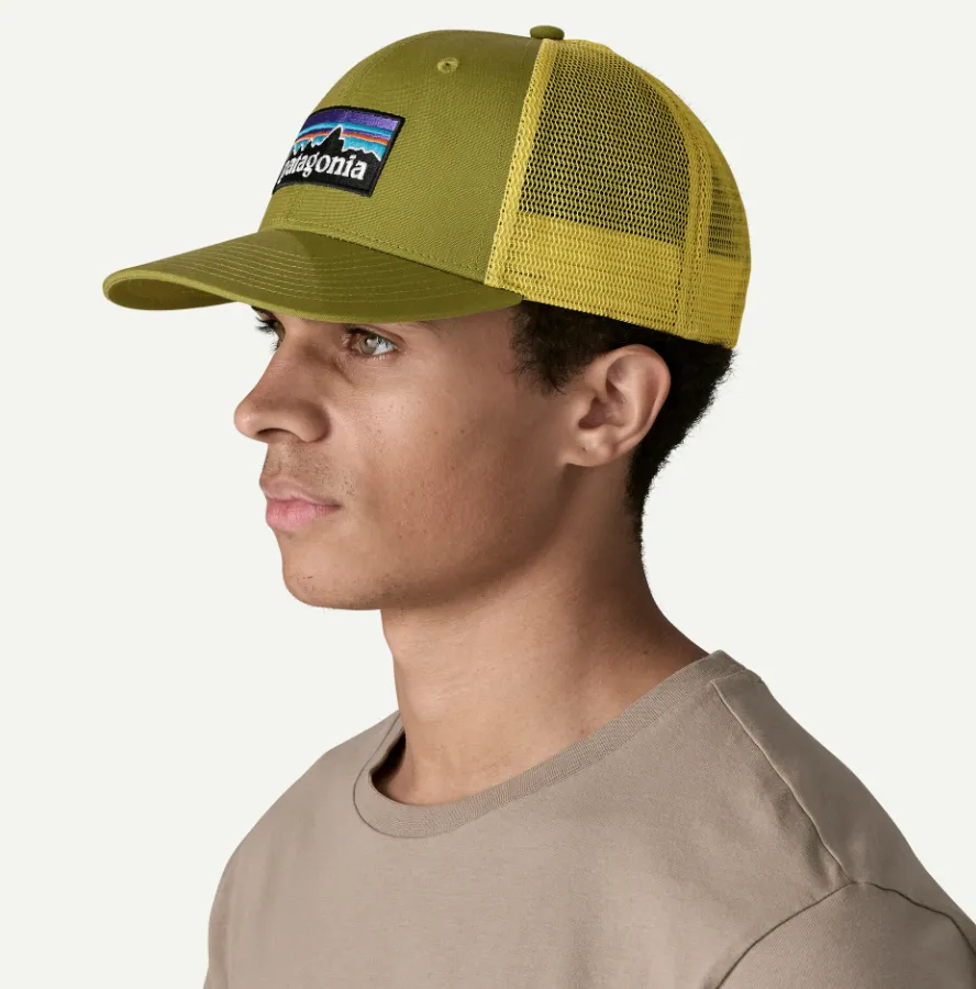 Patagonia Derhúfa Trucker P-6 Logo Graze Green - Image 2